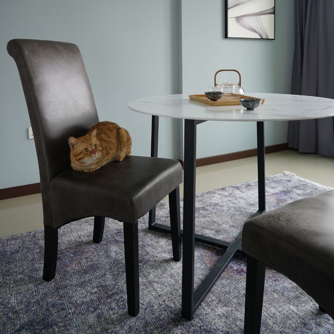 Enjoy your Bellagio Stabilyne™ dining chair's leather finish chair without worrying about your chairs being ripped apart by your pet's claws. Tear and peel resistant versus leather or PU material.